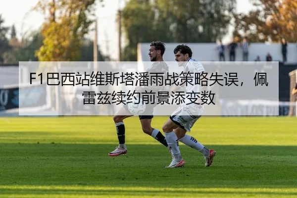 F1巴西站维斯塔潘雨战策略失误，佩雷兹续约前景添变数